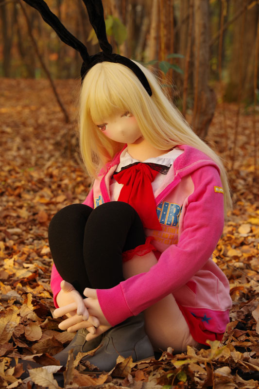 http://www.jdnet-go.jp/2016/12/04/608.jpg