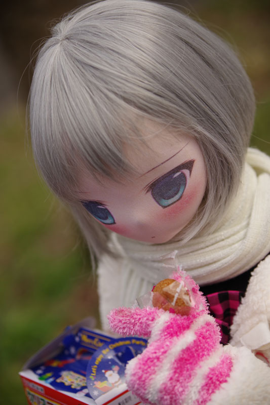 http://www.jdnet-go.jp/2016/12/10/x6.jpg