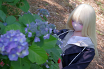 フェアリードール 「おすわり」ののと紫陽花