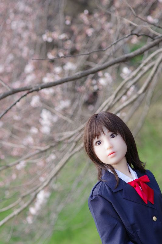 http://www.jdnet-go.jp/tpe/2017/04/04/205.jpg